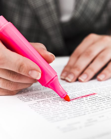 tłumacz zaznaczający ważne elementy w tekście