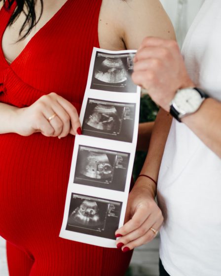 Izba ustawodawcza a problematyka aborcji