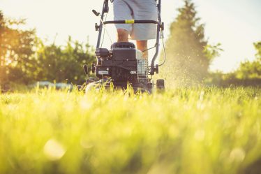 Kosiarka która kosi trawę dzięki starter tagliaerba