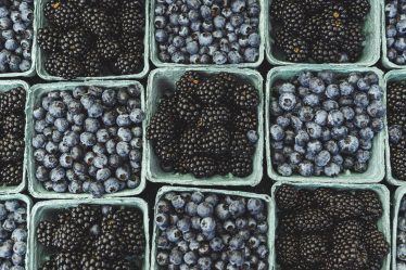 zdjęcie borówek i jeżyny