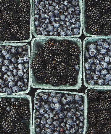 zdjęcie borówek i jeżyny